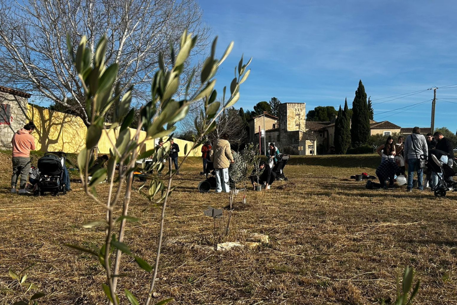 week end Bourse aux jouets – un arbre une naissance – loto du Téléthon